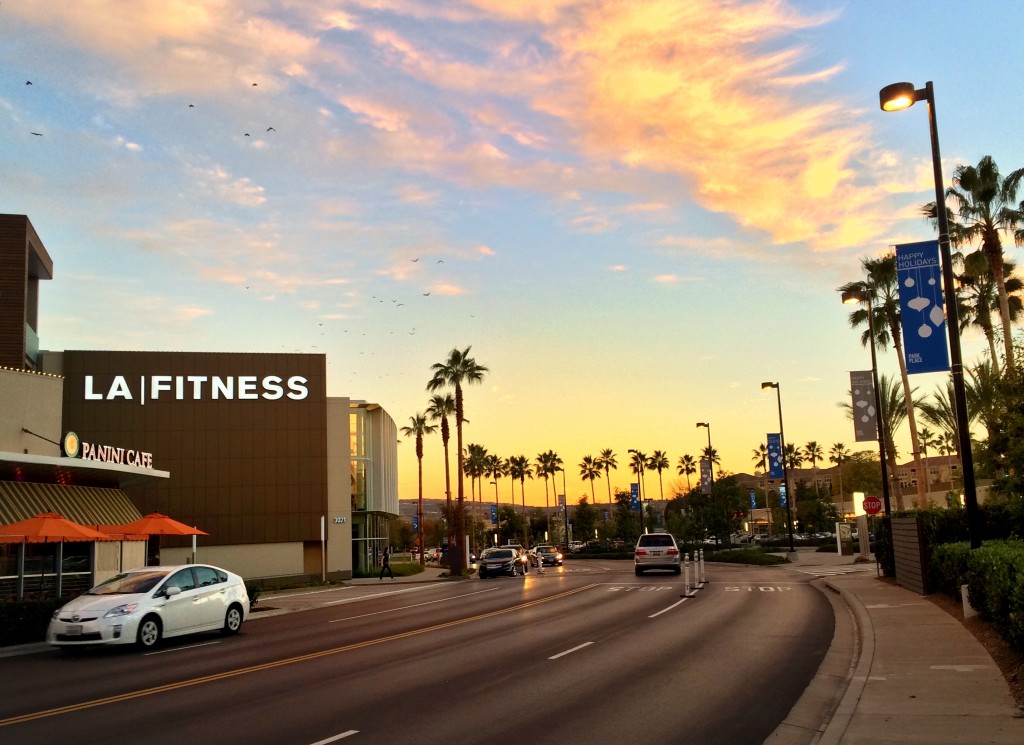 LA Fitness Irvine Michelson